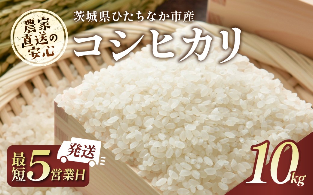 
                  【令和7年産】 5営業日以内発送 コシヒカリ 精米 10kg 茨城県ひたちなか市産  |  こしひかり コシヒカリ 米 お米 おこめ こめ 白米 精米 ごはん ご飯  おこめ 米 ふくまる 厳選米 茨城県産 産地直送 国産 冷めてもおいしい こしひかり コシヒカリ 美味しい こだわり 甘みが強い ふっくら 艶やか 茨城県ひたちなか市産
                