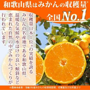 紀州和歌山まるごとみかんゼリー 145g×6個 化粧箱入【2024年10月1日より発送予定】【UT27】