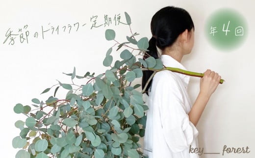 【定期便4回】 季節の草木花のスワッグ リース ( 花 お花 ドライフラワー 手作り アレンジメント 定期便 お楽しみ 花 お花 フラワー アレンジメント ブーケ リース スワッグ ギフト 誕生日 記念日 母の日 クリスマス インテリア 雑貨 植物 自宅用 お祝い 贈り物 ) 下関 山口