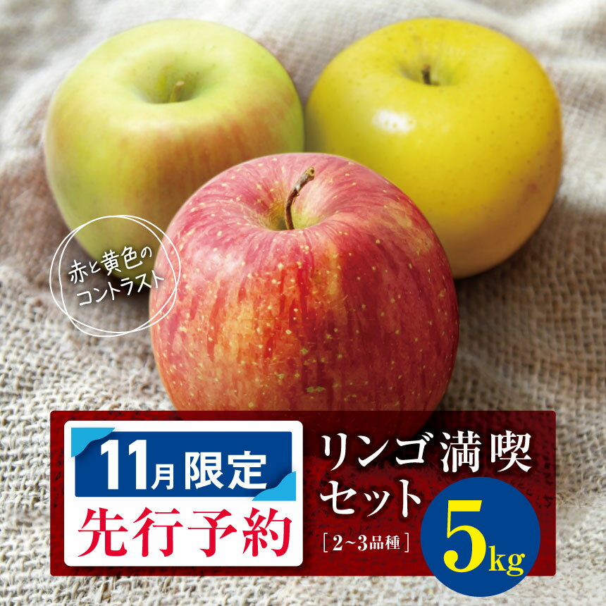【ふるさと納税】【 2025年11月限定 先行予約 】 訳あり リンゴ 満喫おまかせ セット 約5kg | ヤマモ農園 果物 フルーツ 果実 りんご 林檎 リンゴ セット 長野県 松川村 信州