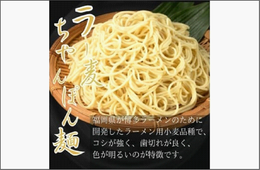 【8人前】博多の老舗醤油屋さんのこだわりスープのもつ鍋セット！！福岡特産ラー麦100％使用のちゃんぽん?付き