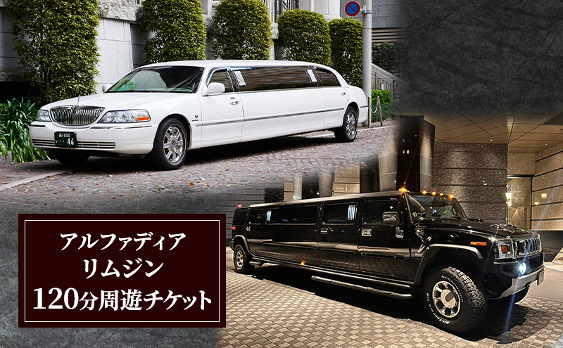 アルファディア リムジン120分周遊チケット リムジン周遊体験チケット（プロポーズ・誕生日・記念日・お祝い・接待・サプライズ・結婚式・観光）