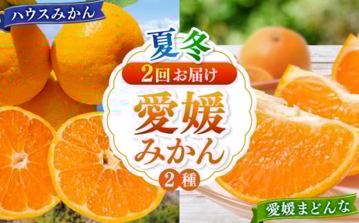 【全2回定期便】愛媛県産 プレミアム柑橘5kgセット（ハウスみかん2kg、まどんな3kg） 愛媛県大洲市/峯田農園 [AGBT012]果物 フルーツ みかん ミカン まどんな 柑橘 愛媛みかん 愛媛県