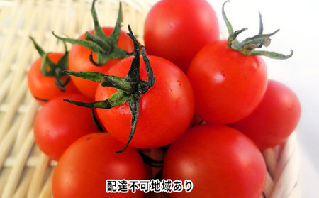 ミニトマト バラ 有機 岡山県産 ミニトマト【約2kg】【先行予約】