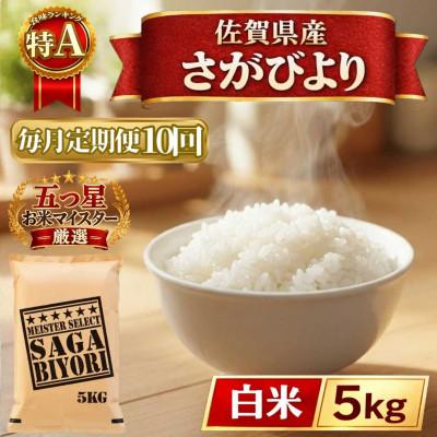ふるさと納税 江北町 【毎月定期便】さがびより白米5kg(江北町)全10回