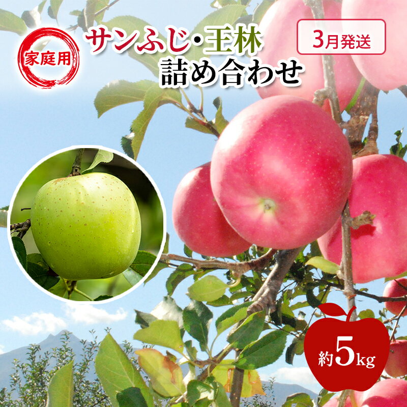 【ふるさと納税】りんご 【 3月発送 】 糖度13度～家庭用 サンふじ ・ 王林 詰め合わせ 約 5kg　お届け：2027年3月1日～2027年3月31日
