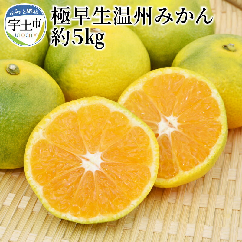 【ふるさと納税】進栄　極早生温州みかん　約5kg【熊本県宇土市】