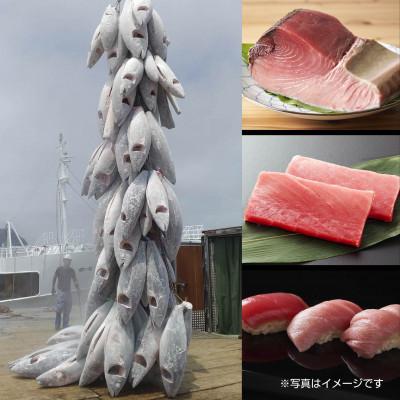 ふるさと納税 十日町市 天然メバチマグロ 赤身 切り落とし 160g×4パック 新潟県十日町市 |  | 02