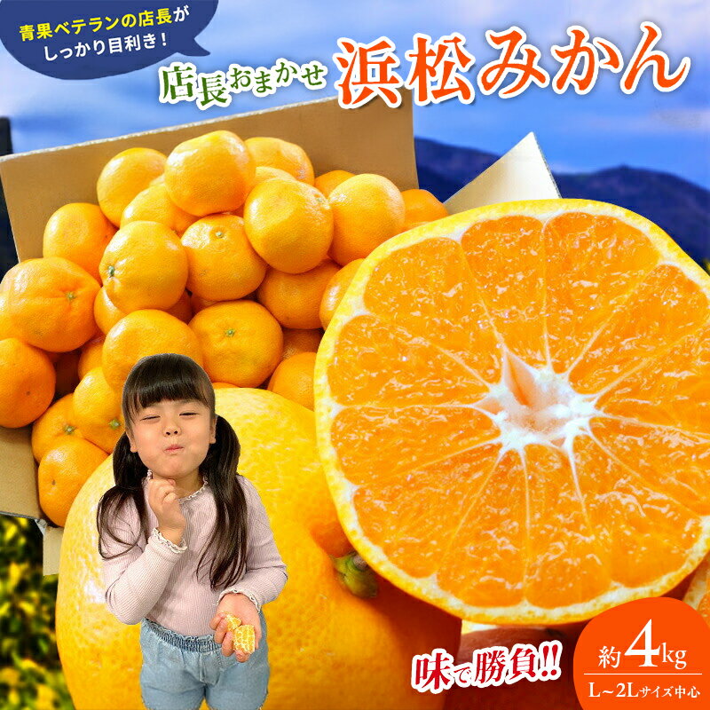 【ふるさと納税】【訳あり】店長おまかせ浜松みかん 約4kg サイズL～2L ミカン 蜜柑 フルーツ みかん ミカン 三ヶ日 みかん 蜜柑 糖度 静岡 浜松市　お届け：2025年12月1日～2026年3月31日まで