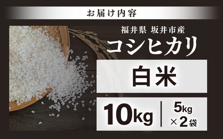 先行予約 【令和8年産・新米】 坂井市産 コシヒカリ 白米 10kg (5kg×2袋) (中瀬農産) 2026年10月以降順次発送予定 精米 おこめ [A-20508]