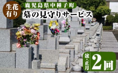n129 ＜生花有り＞お墓の見守りサービス(2回、盆・正月) サービス 清掃 除草 管理 墓地【中種子町シルバー人材センター】