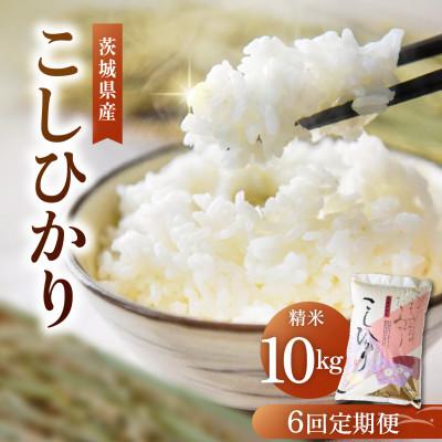 ふるさと納税 かすみがうら市 【毎月定期便】コシヒカリ 精米 10kg | こしひかり 茨城県かすみがうら市全6回