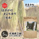 【ふるさと納税】 《先行予約》＜定期便2回＞ 玄米 5kg 新潟県産 コシヒカリ はざ掛け 天日干し 令和6年産 越後奥阿賀産 | 小会瀬 はざがけ こしひかり 一等米 送料無料 お取り寄せ お米 ※2024年10月中旬頃より順次発送