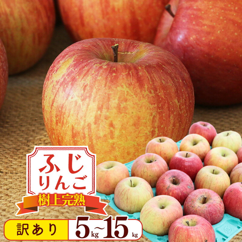 【ふるさと納税】令和8年産 訳あり 選べる！りんご 5kg - 15kg 「ふじりんご」生産者直送 2026年産 山形県産 【2026年11月下旬頃から12月下旬頃発送予定】 SDGs フードロス 不揃い 規格外お取り寄せ 特産 果物 冬 林檎 デザート おやつ 東北 山形県産 自宅用 ご家庭用