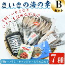 【ふるさと納税】さいきの海の幸Bセット (7種) 鯵 鰯 イワシ 鯖 サバ ちりめん ブリチャン 魚 干物 海産物 韓国料理 加工食品 セット 詰め合わせ 大分県 佐伯市【EW015】【(株)Up】