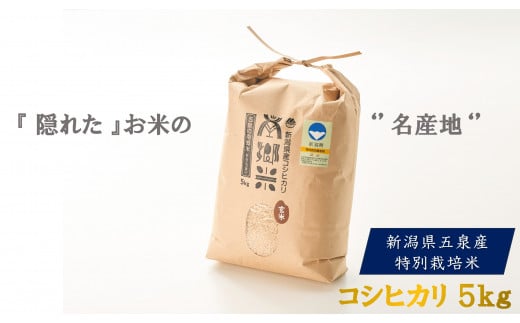 【先行予約】令和6年産 特別栽培米 新潟県五泉産コシヒカリ 「南郷米」 玄米 5kg 新潟県 五泉市 ファームみなみの郷