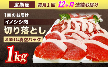 【12回定期便】天然イノシシ肉 切り落とし1kg（ぼたん鍋・煮込料理・野菜炒め用等） / ジビエ 猪肉 いのしし肉 ジビエ肉 肉じゃが用肉 イノシシ いのしし焼肉 長崎ジビエ 猪 ぼたん鍋 鍋肉 猪鍋