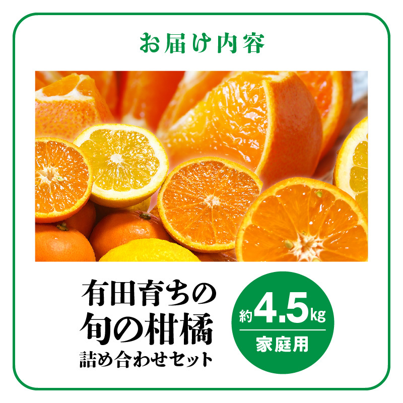 AB7204_（旬の美味）（みかん名産地和歌山有田）有田育ちの旬の ご家庭　旬の柑橘 詰め合わせセット 4.5kg（訳あり）_イメージ5