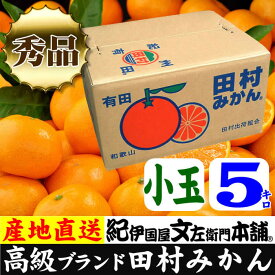 V7452_田村みかん／5kg秀品【小玉サイズ】