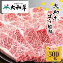 【ふるさと納税】(冷凍) 大和牛 バラ 焼肉 500g ／金井畜産 焼肉 バーベキュー キャンプ アウトドア 父の日 母の日 奈良県 宇陀市 お中元 贈答用 贈り物 暑中見舞い お土産