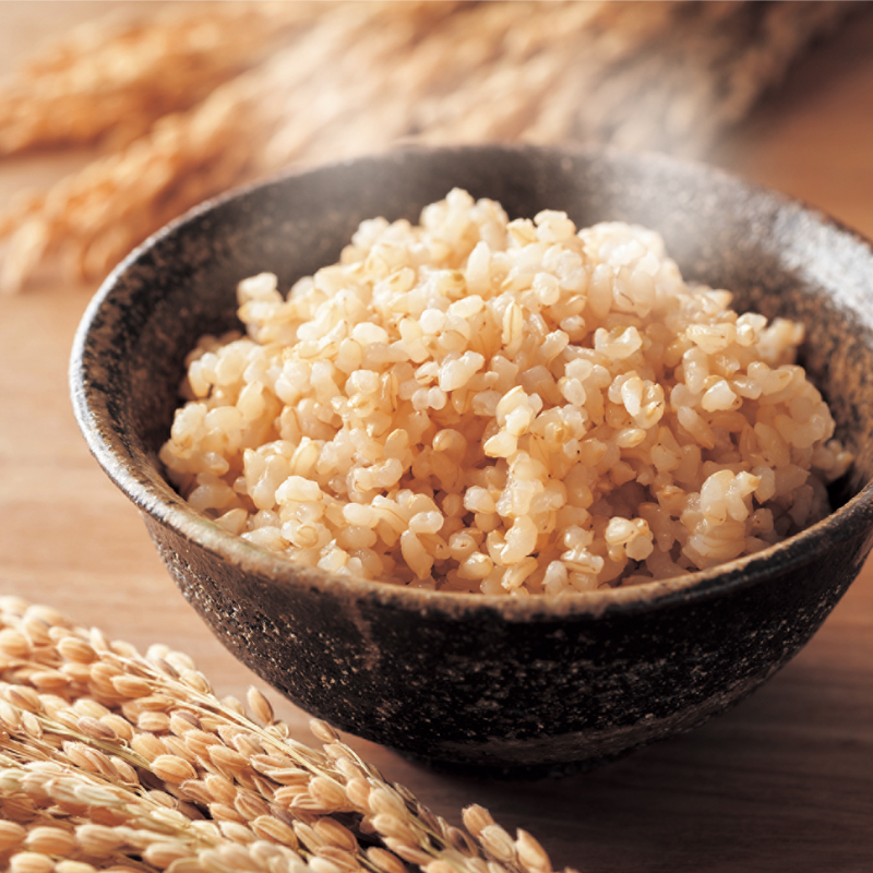 令和6年産 早炊 玄米 きぬむすめ 2kg×4袋  岡山県産　お米 国内産 ご飯 おにぎり お弁当 和食 国産 産地直送 玄米食 玄米の栄養素