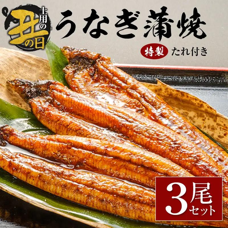 【土用の丑の日】うなぎ蒲焼3尾セット 計543g以上 中村商店