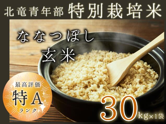 【ふるさと納税】【数量限定】【令和6年産】特別栽培米ななつぼし 玄米 30kg 低農薬米 北海道 北竜町産