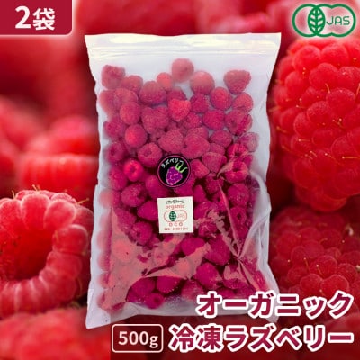 有機JAS認証 冷凍ラズベリー2種食べ比べセット 1kg (500g×2袋)【十勝産 希少品種】【配送不可地域：離島】