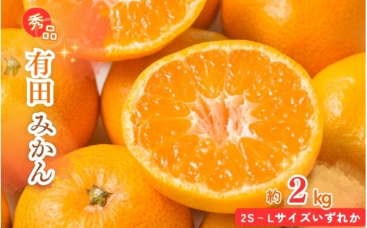 【先行予約】秀品 有田みかん 2kg 2S～Lサイズのいずれか ※2026年11月下旬～2027年1月下旬頃に順次発送予定 / みかん ミカン 蜜柑 温州みかん 柑橘 フルーツ 果物 くだもの 和歌山【uot835A】