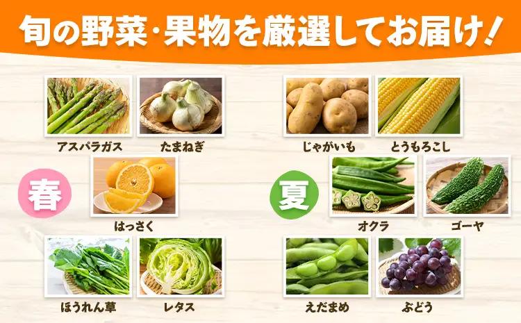 【6ヶ月定期便】旬の野菜詰め合わせセット 8-12品 野菜