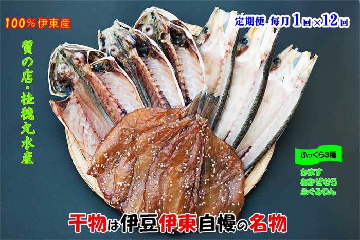W12【ふるさと納税】【定期便 全12回】伊豆・伊東 桂穂丸干魚店 ひもの詰合せ 毎月1回×12回