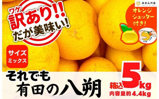 
                  八朔 訳あり それでも 有田の八朔  (はっさく) 箱込 5kg (内容量約 4.4kg) サイズミックス B品 和歌山県産  産地直送［おまけ付き］［みかんの会］
                