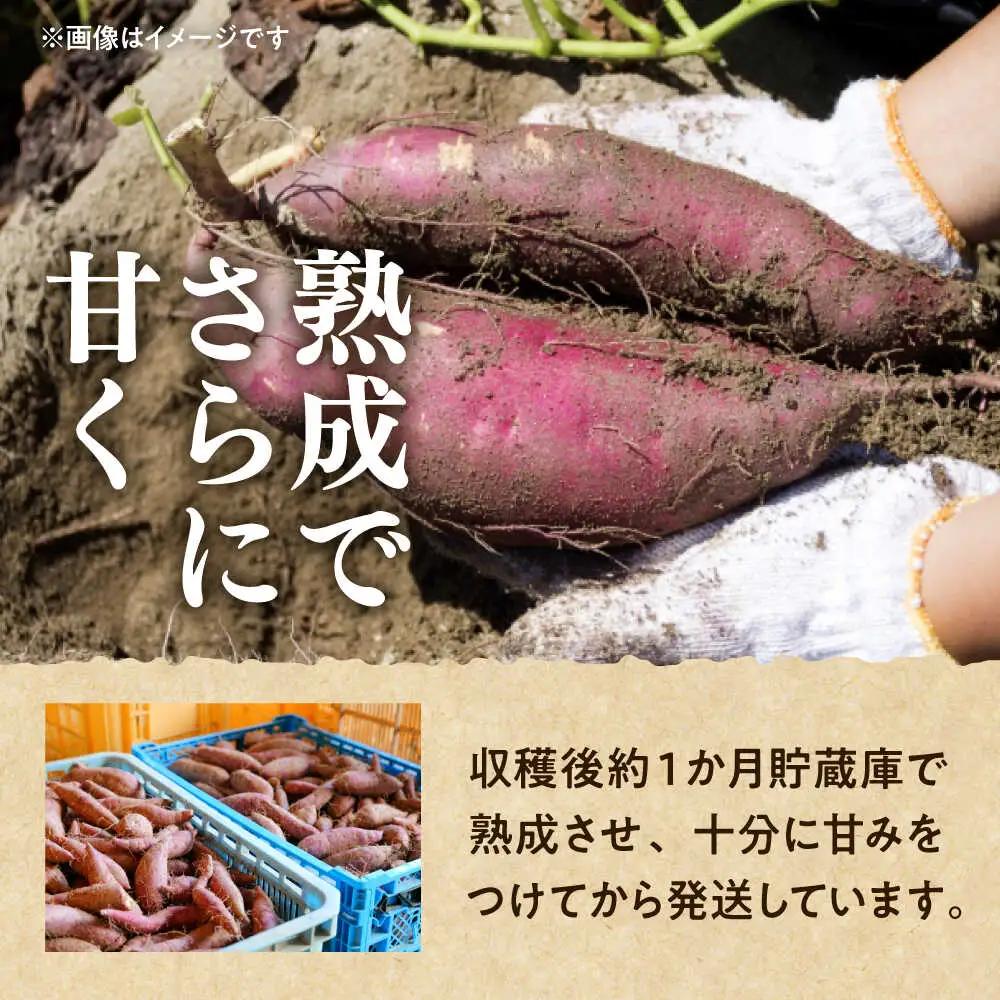 紅はるか さつまいも 秀品 約10kg S?2Lサイズ混合 さつまいも[AYAT005]