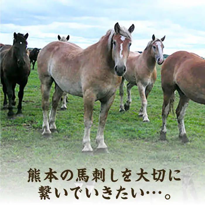 【12回定期便】ふじ馬刺し 上赤身 4個セット 3590 [ZDT092]