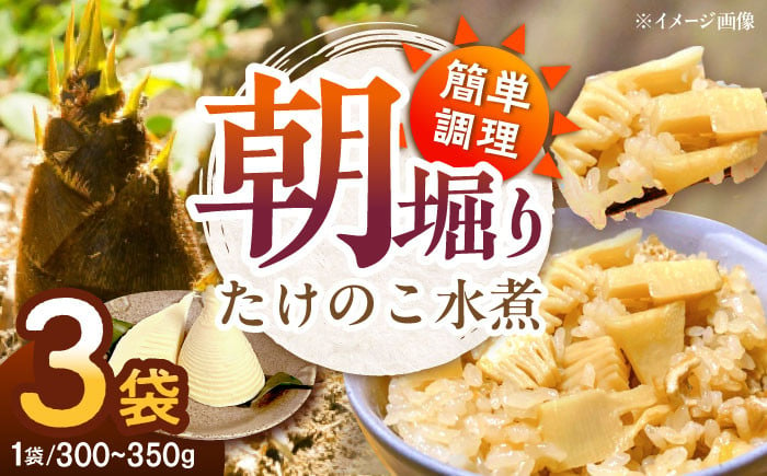 筍 タケノコ おうちごはん 竹の子 春 筍ご飯 たけのこご飯 煮物 旬の食材 山菜 筍ごはん