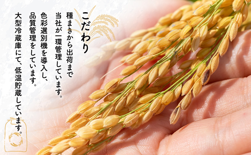 令和7年度産 あきたこまち 米 2kg 精米 白米 秋田県 能代市 ブランド米 甘み 粘り もっちり