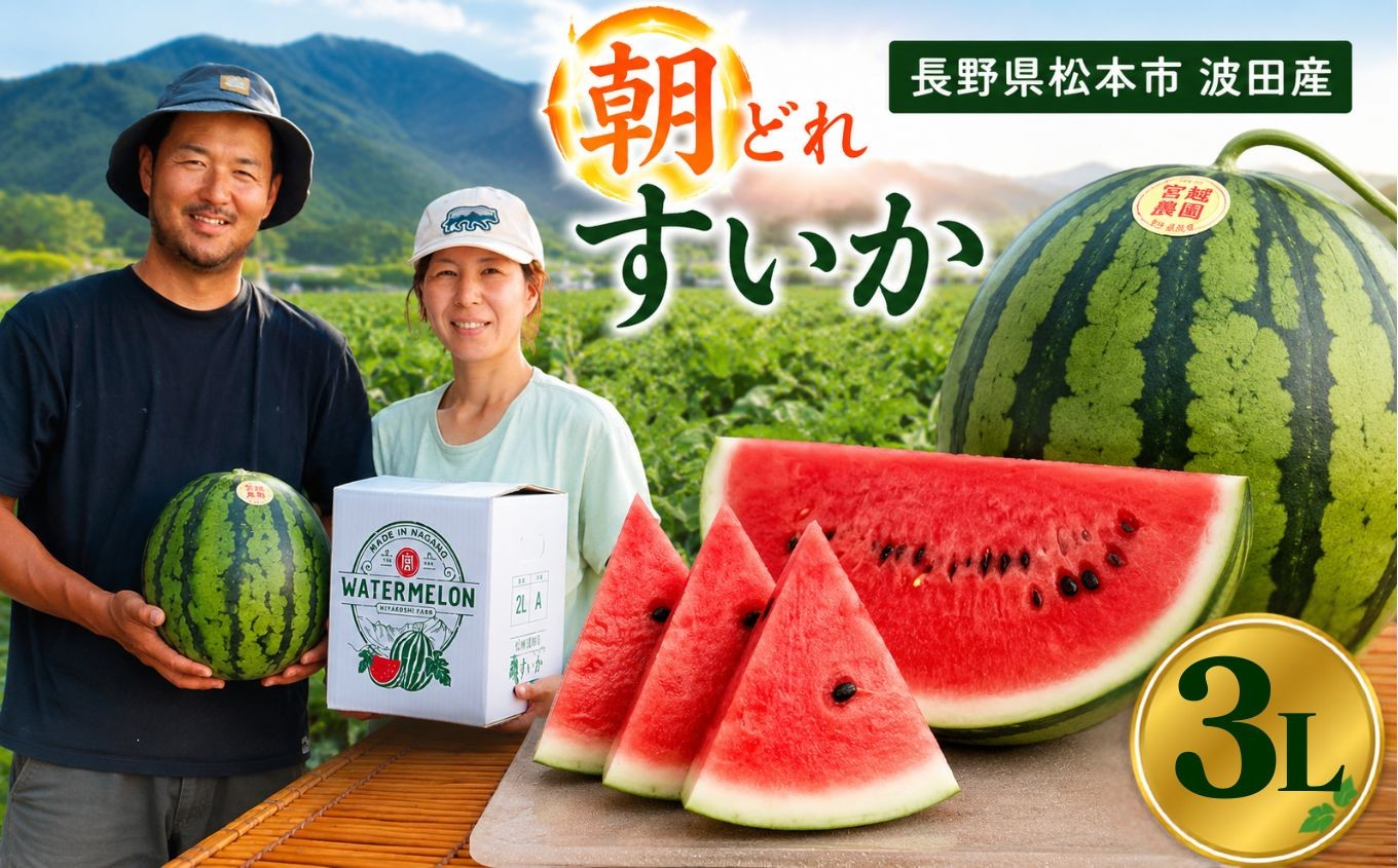 
                  松本市 波田産 大玉すいか ３L │ 信州 松本市 長野県 西瓜 すいか 果物 大玉 スイカ フルーツ くだもの 新鮮 果汁 ジューシー 大きい ふるーつ 発送
                