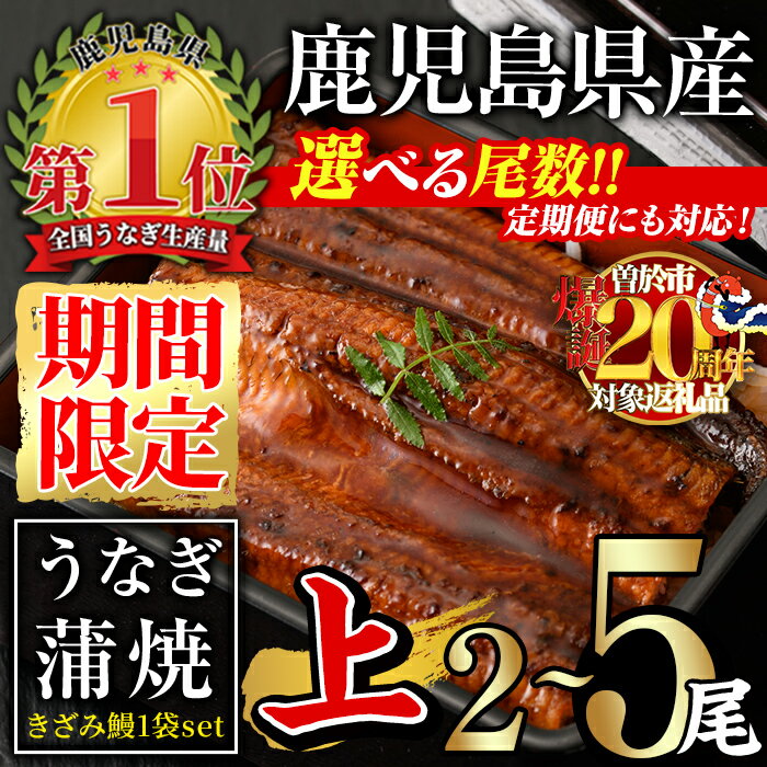 【ふるさと納税】【期間限定！】＜尾数・配送回数が選べる！＞無投薬！鹿児島県産うなぎ蒲焼セット＜上＞(計330g以上〜計750g以上・140g以上×2尾〜5尾＆きざみ鰻50g / 定期便 全3回 計840g以上・140g以上×2尾×3回) タレ・山椒付き 鰻 うなぎ 蒲焼【西日本養鰻】