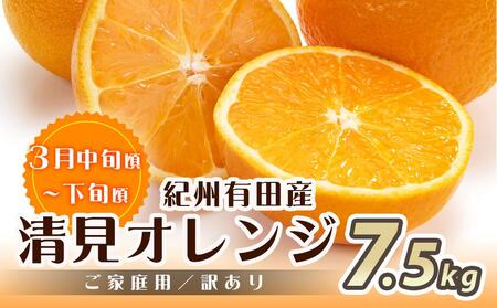 【魚鶴商店厳選】和歌山人気の柑橘ご家庭用・訳あり定期便（みかん・不知火・清見オレンジ）【定期便全3回】