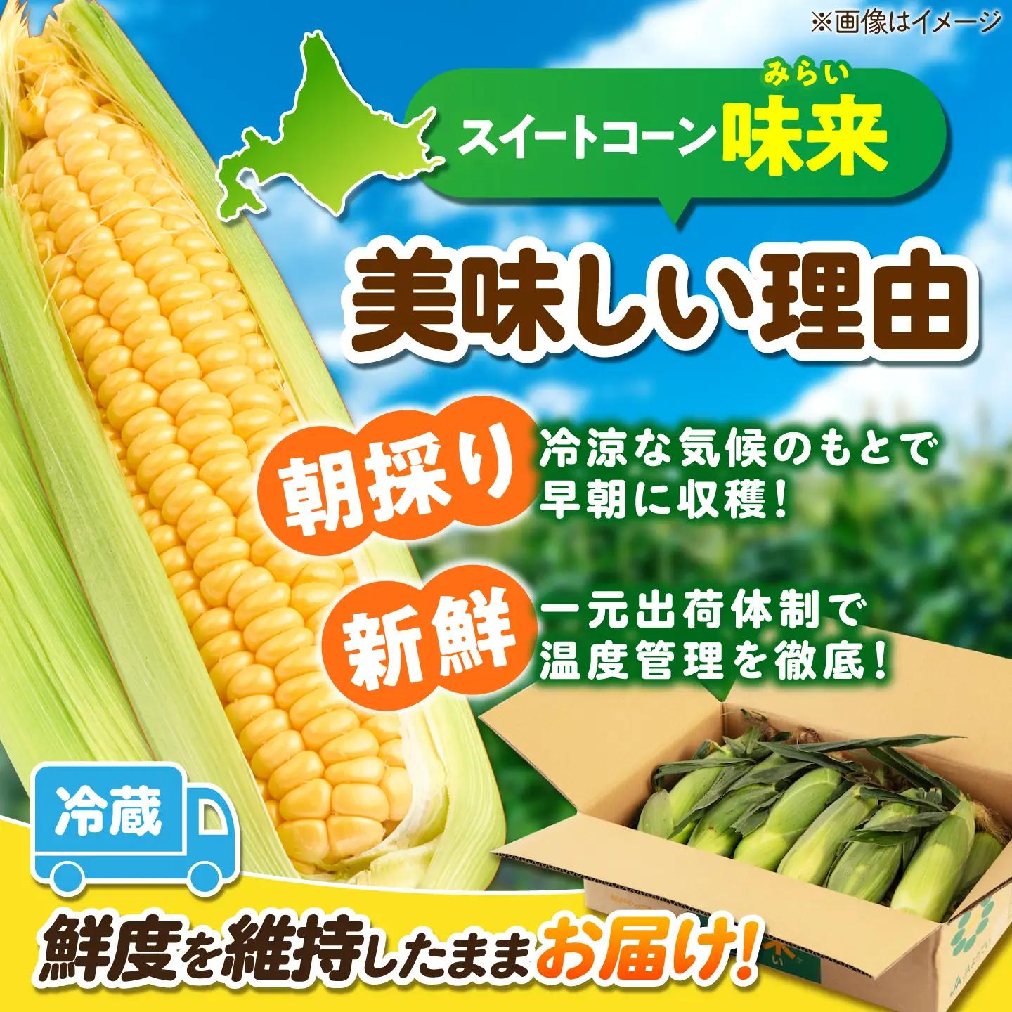 とうもろこし 味来 26本 [AJAK007] とうもろこし