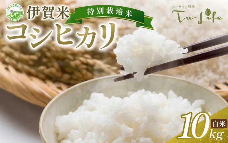 米 伊賀産 コシヒカリ（白米）10kg【tuli0003A】
