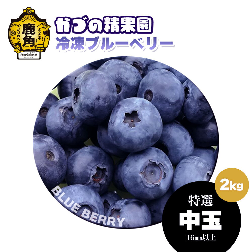 【ふるさと納税】《 先行予約 》ブルーベリー 特選 中玉 2kg 冷凍 単品 選べる 発送時期 選択 無農薬 新鮮 旬 国産 冷凍 ジュース スムージー レシピ 効能 栄養 ダイエット お取り寄せ 母の日 父の日 グルメ ギフト 故郷 秋田 あきた 鹿角市 鹿角 送料無料 【かづの精果園】