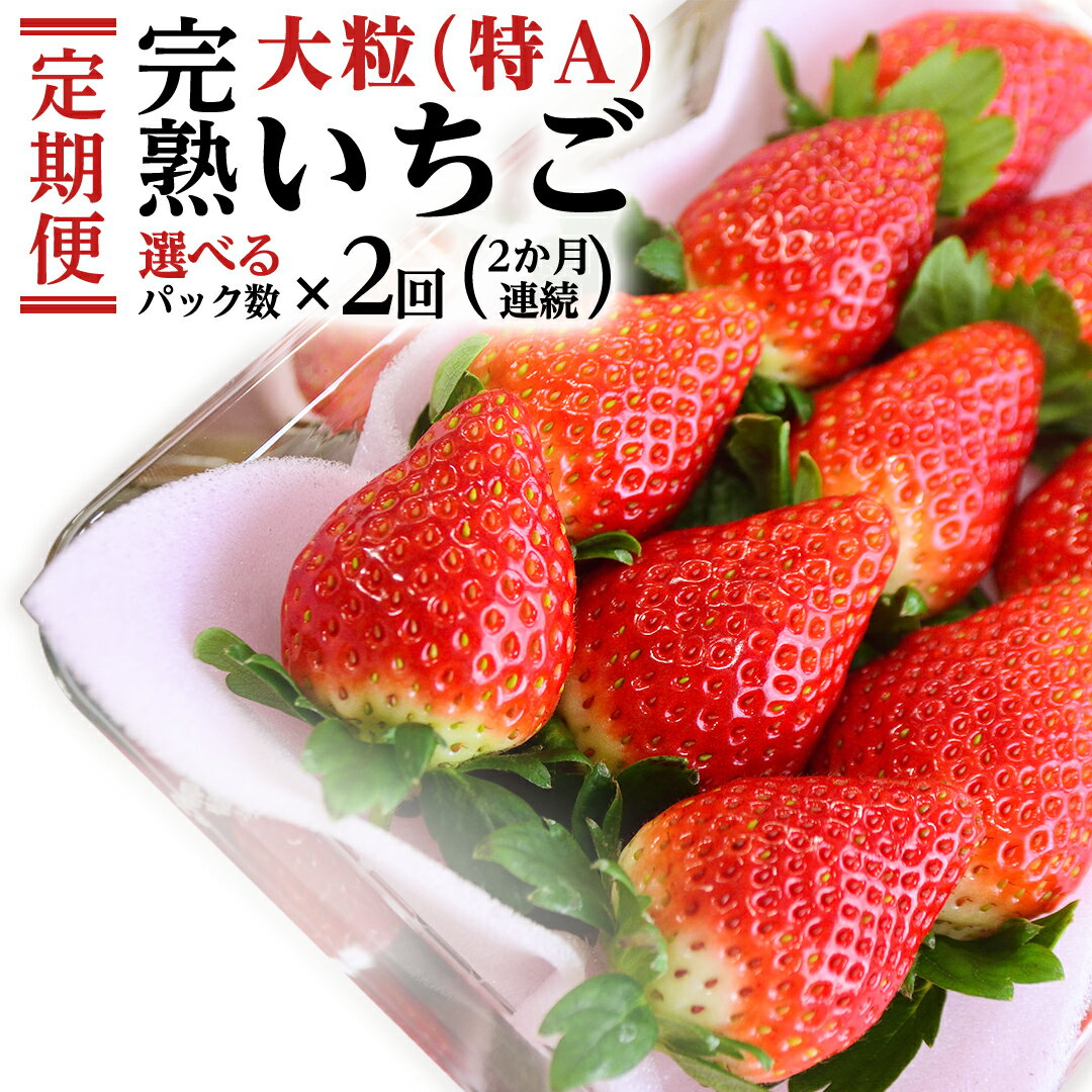 【ふるさと納税】 【2ヵ月 定期便】 完熟 いちご 定期便！ 2パック × 2回 合計 4～8パック （1P260g） 定期便 国産 いちご イチゴ 苺 果物 かおり野 とちおとめ やよいひめ フルーツ 茨城県産 KEK