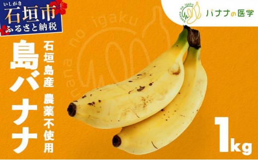 
            バナナの医学 石垣島産 島バナナ 約1kg 農薬不使用 | バナナ 石垣 沖縄 1kg 無農薬 DF-001
          