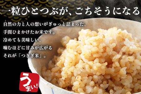【令和8年産 玄米 】10月上旬～発送 にこまる 「つきぎ米」 玄米 30kg 玄米 ハサ干し米 多良木町 たらぎ 槻木 新米 お米 米 熊本県 30キロ