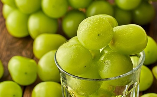 2026年先行予約　岡山県産シャインマスカット1.3kg(2房)【配送不可地域：離島】【1615817】