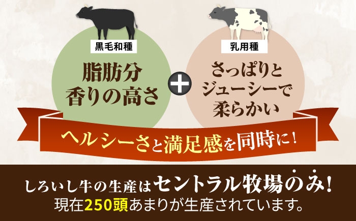 赤身ブロック 佐賀県産 牛肉 和牛 牛 ローストビーフ ろーすとびーふ お肉 肉 赤身 国産 国産牛 赤身肉  牛肉ブロック