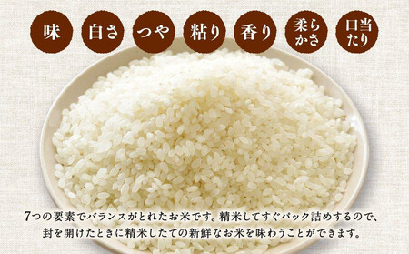 【2026年3月発送】令和7年産 特Ａランク 無洗米 旭川産 ななつぼし 7.5kg（3.75kg×2）フレッシュ真空パック  | ななつぼし ななつぼし ななつぼし ななつぼし ななつぼし _004