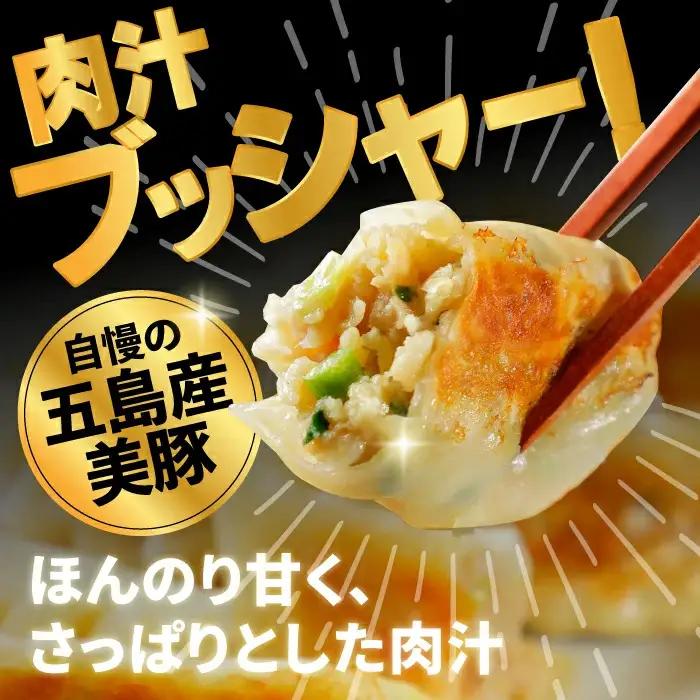 美豚餃子75個（15個×5袋） 五島市/長崎フードサービス[PEL003]餃子