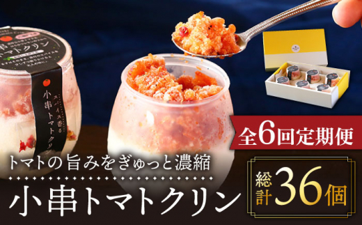 【6回定期便】小串トマトクリン 6個入り 川棚町名産 濃厚な小串トマトとはちみつレモンのソルベ【BUCO cafe】[OBJ010] / アイス アイスクリン あいす トマトアイス とまとあいす ソルベ シャーベット レモンシャーベット くりんあいす アイスクリーム しゃりしゃりアイス こだわりスイーツアイス